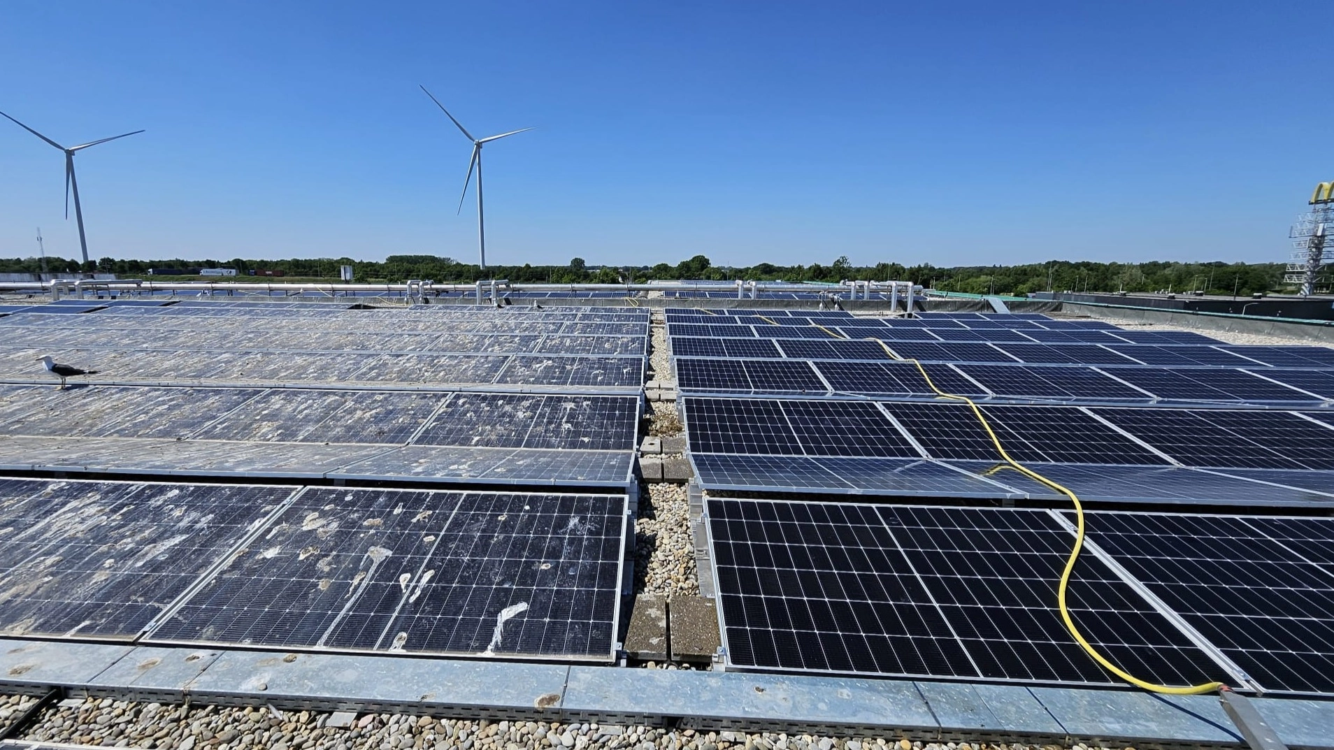 Before and after solar panel cleaning